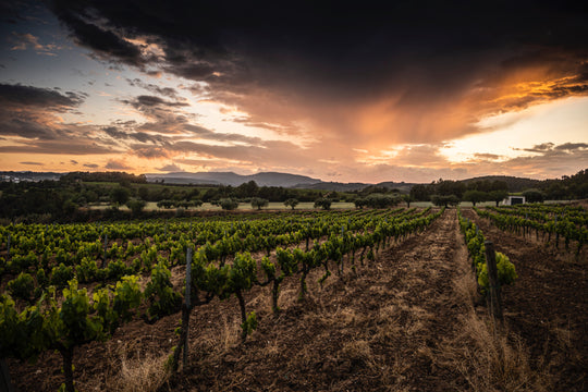 CELLER CASAJOU