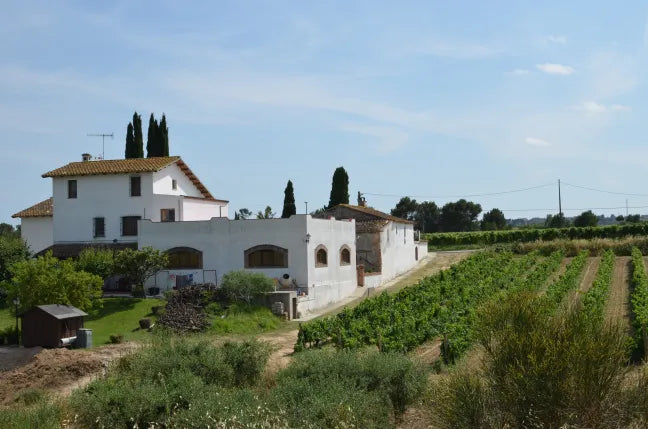 Cellers Carol Vallès 'Parellada i Faura'